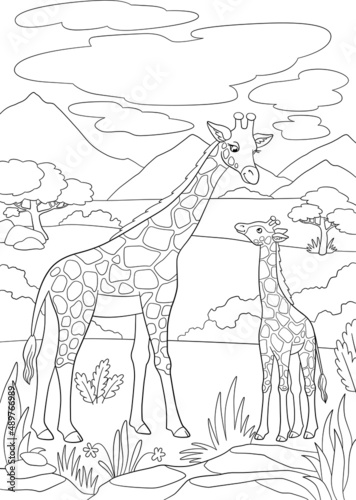 Coloring page. Mother giraffe with long neck stands with her little cute baby and smiles.