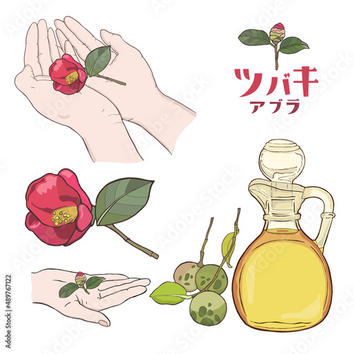 両手に椿の花・オイルの瓶と椿・椿のつぼみ・ツバキ