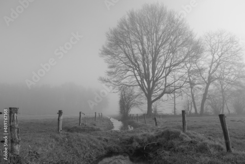 misty morning in the fog