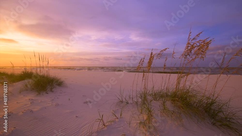 Amazing golden yellow romantic sunset over sandy beach between Pensacola and Gulf Shores with blue skies and birds in sky  photo