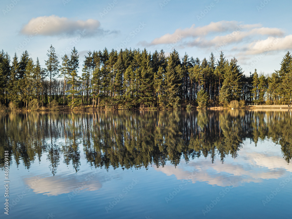 Trees reflecting in the lake in Beecraigs Country Park, Sotland