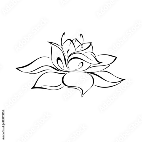 ornament 2234. one stylized full blooming flower with large petals without a stem. graphic decor