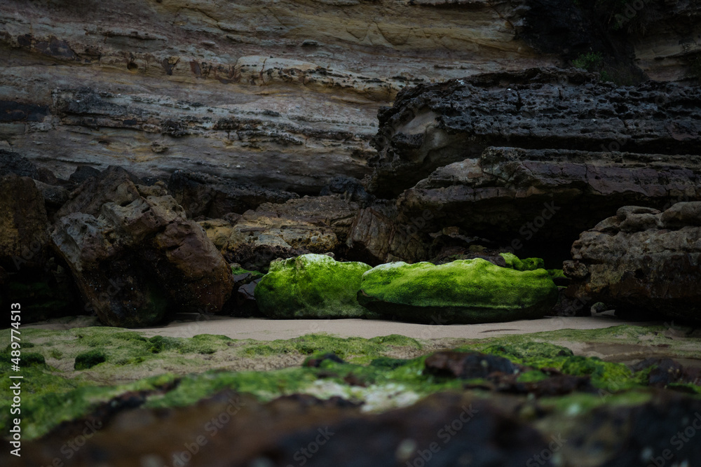 Bright green algae coated seaside rock by cliff edge on New South Wales South Coast in Australia.
