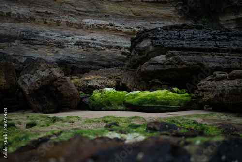 Bright green algae coated seaside rock by cliff edge on New South Wales South Coast in Australia.