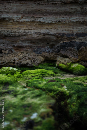 Bright green algae coated seaside rock by cliff edge on New South Wales South Coast in Australia.