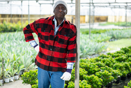 Portrait of male hired worker in a greenhouse where flowers are grown