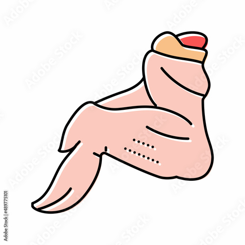 wing 3 joint chicken color icon vector illustration