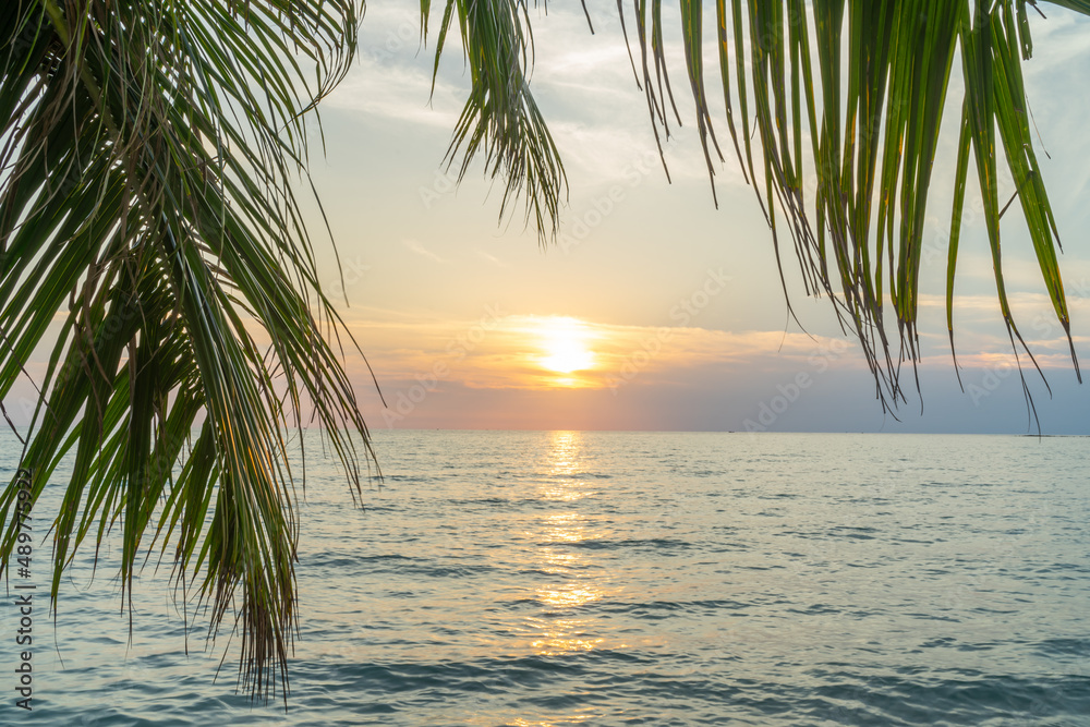 Sunset with beautiful sea and palm tree leaf