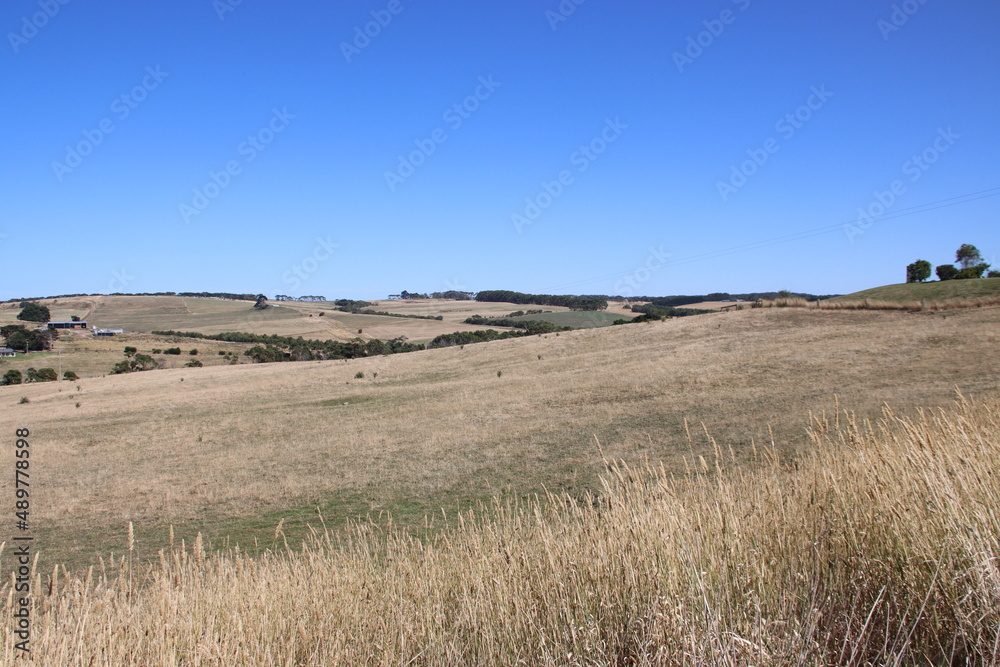 Rural scene in the Western district of Victoria, Australia.