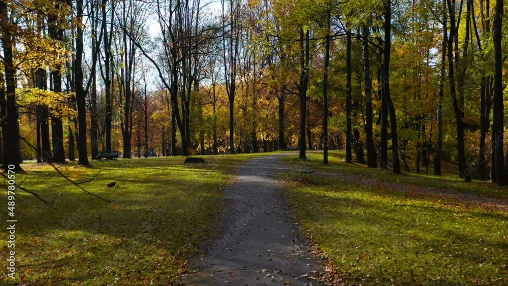 Falling leaves in the park during autumn. Falling leaves in the park during autumn.