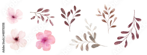 Fotografie, Obraz Set of watercolor pink flowers and brown leaves elements