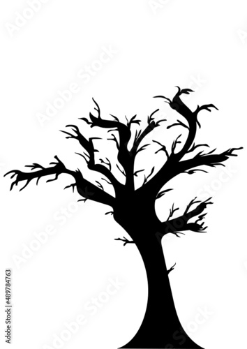 Baum