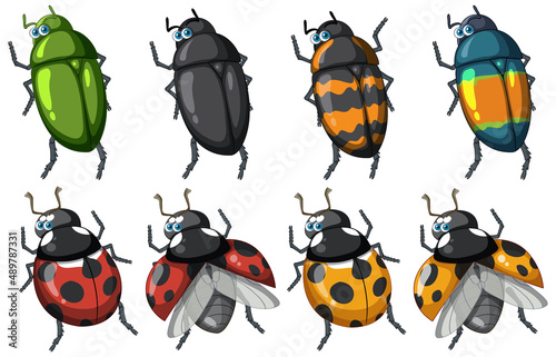Set of different insects and beetles in cartoon style