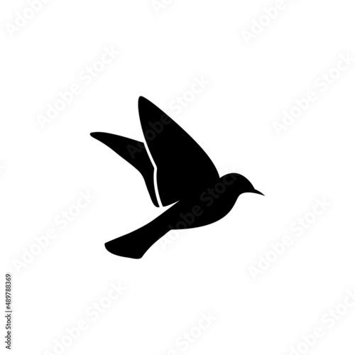 bird shilouette icon design vector