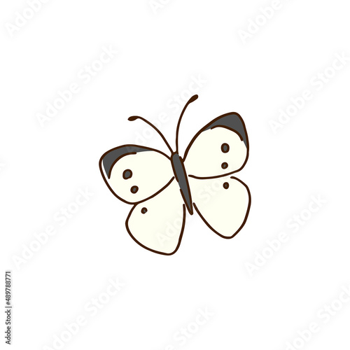 モンシロチョウ　手描き風