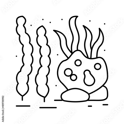 seaweed ocean line icon vector illustration