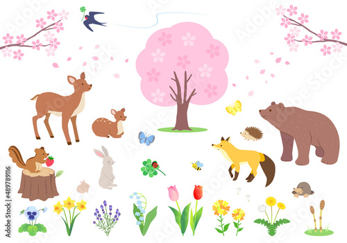 春の森にいる動物たちと植物のイラストセット