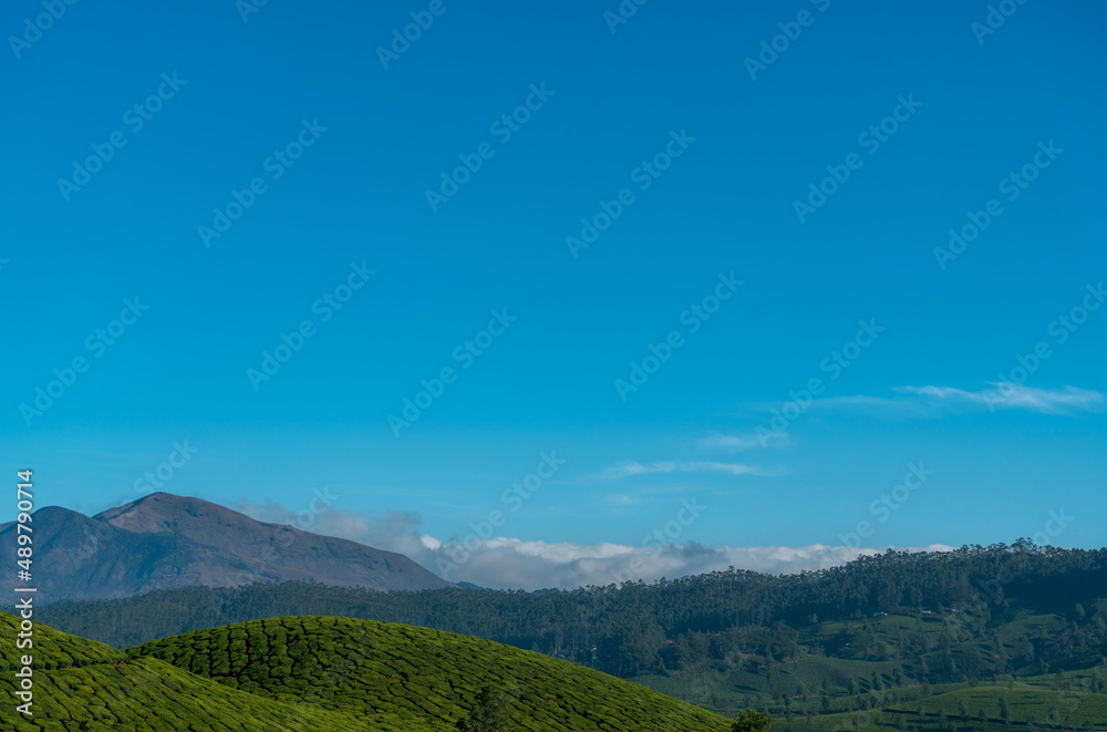 Summer landscape in mountains and blue sky, Munnar nature scenery 