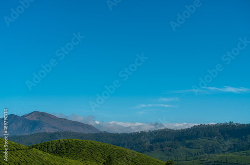 Summer landscape in mountains and blue sky, Munnar nature scenery © sarath