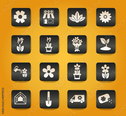 flowers icon set