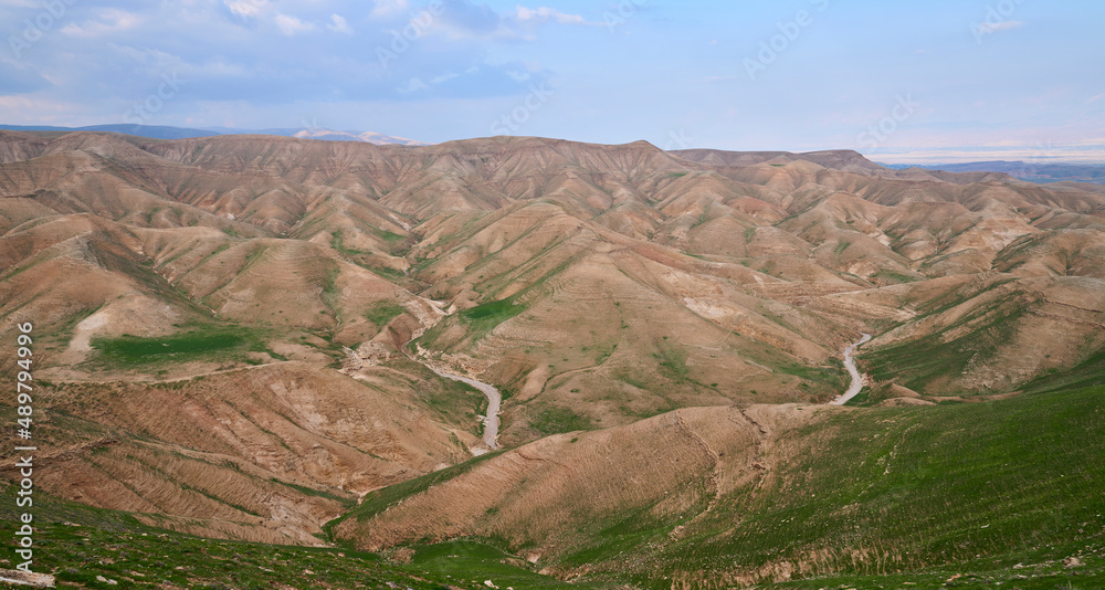 Colorful desert landscape in Judean Desert near Jericho. Orange and green colors of hills. Unusual desert landscape with green grass sprouts  in a lovely winter day. 