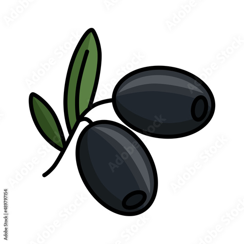 Black olive. Color icon. Olives are the fruits of an evergreen tree. Vector illustration isolated on a white background for design and web.
