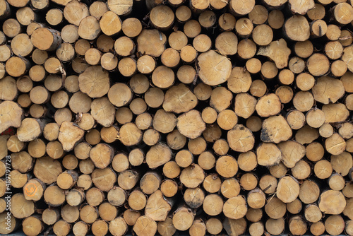 A stack of Cut Wooden Logs in a lumbar yard for use as a background