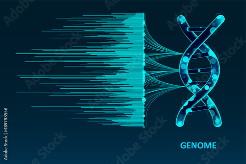 Big genomic data visualization