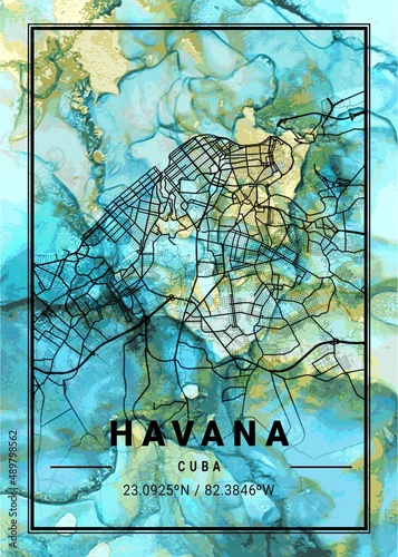 Havana Flowercup Marble Map photo