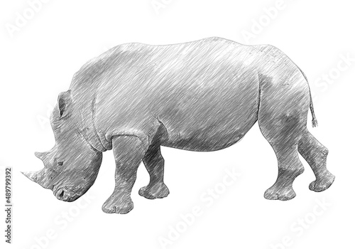 Rhinoceros side view. Pencil sketch. Raster illustration.