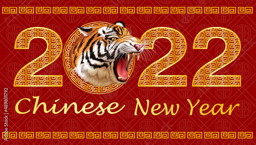 Photography Chinese New Year poster with tiger roaring