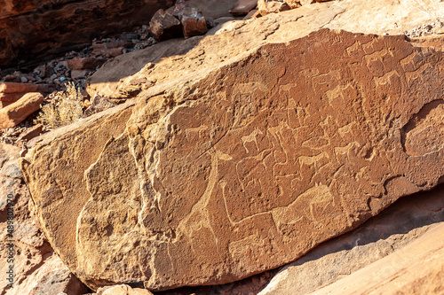 Detail of the prehistoric rock paintings of the San People in Western Namibia, near Twyfelfontein. photo