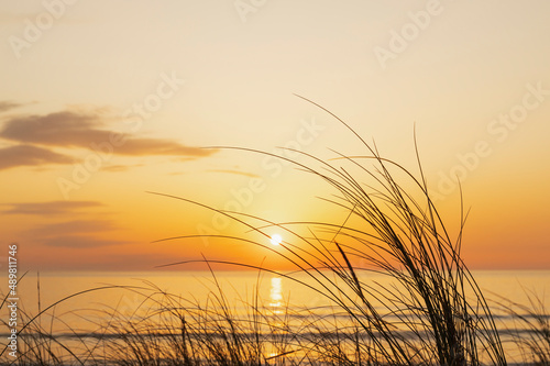 Sun setting over Atlantic Ocean with blades of grass in foreground