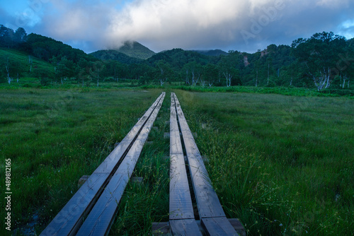 湿原の木道 © Snoopy walk