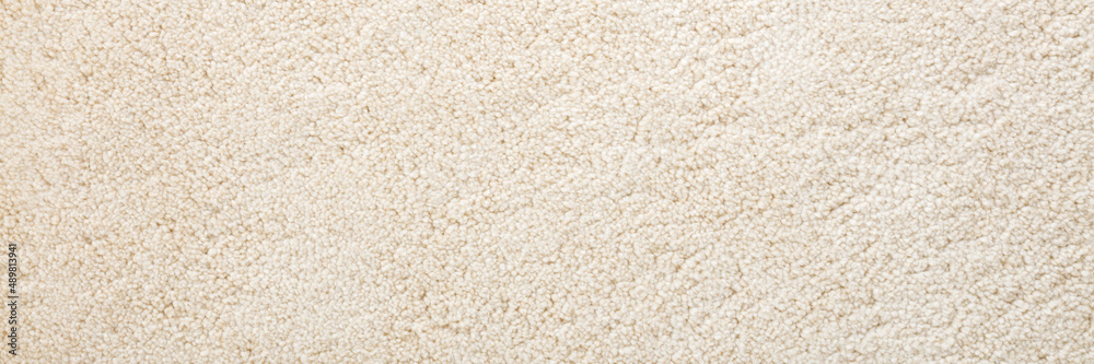 Beige new fluffy home carpet background. Closeup. Wide banner. Empty place for text. Top down view.