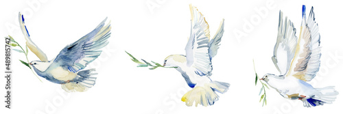 Leinwand Poster Flying white dove and olive branch watercolor illustration