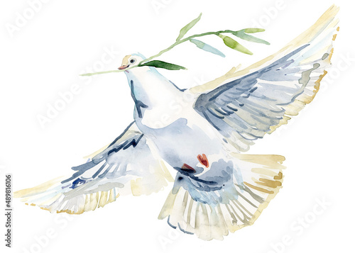 Fototapete Flying white dove and olive branch watercolor illustration
