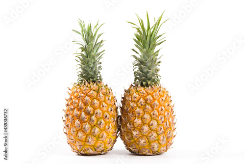 whole of pineapple (Ananas comosus) isolated on white background