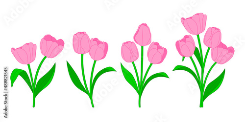 Fototapeta Naklejka Na Ścianę i Meble -  Branches of pink tulips and green leaves. Spring bouquet. Floral vector illustration.