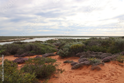 View over Little Lagoon near the town of Denham in Western Australia.
