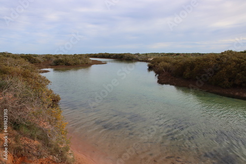 Little Lagoon creek near the town of Denham in Western Australia.