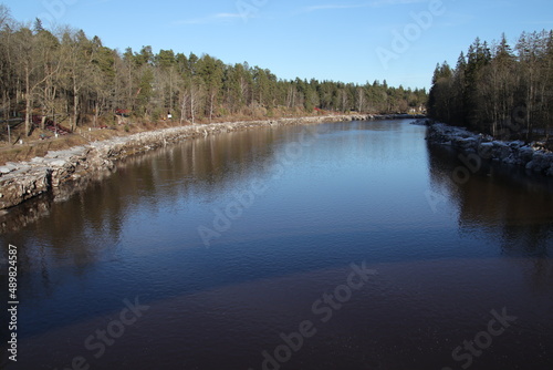 lake in the forest