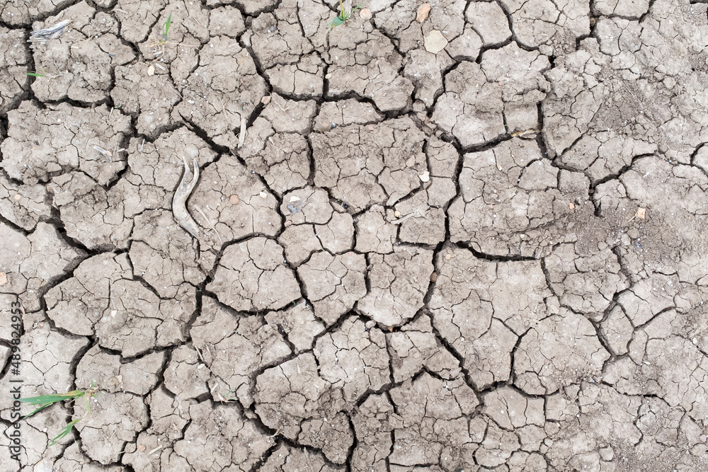 Global warming background, texture or pattern. Cracks in mud Global warming background, texture or pattern. Cracks in mud