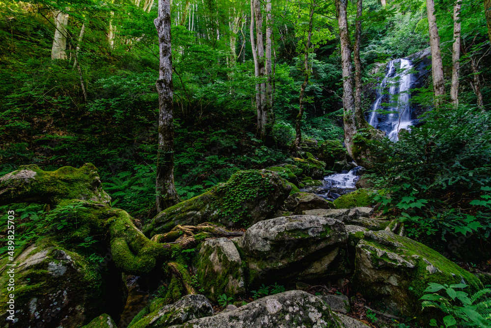 Obraz premium 飛騨高山 夏の県立自然公園 宇津江四十八滝