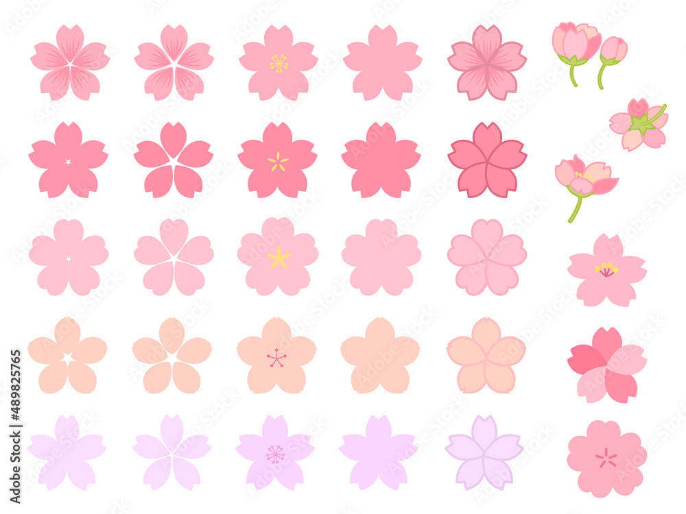 さくらの花、花びらのセット。かわいいピンク色。春におすすめ。