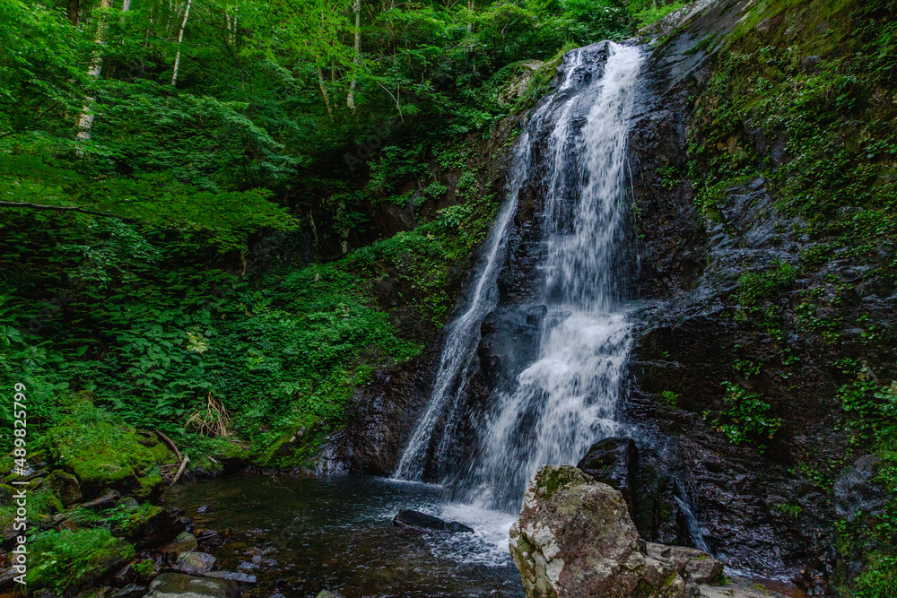 Naklejka premium 飛騨高山 夏の県立自然公園 宇津江四十八滝
