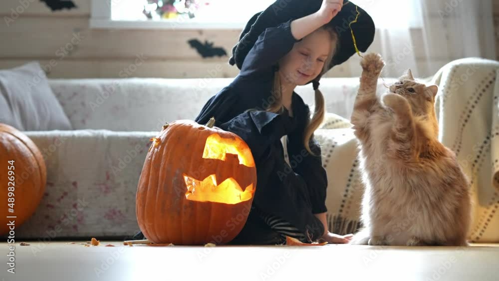 A cute little girl with a red cat in a black witch costume and a magic