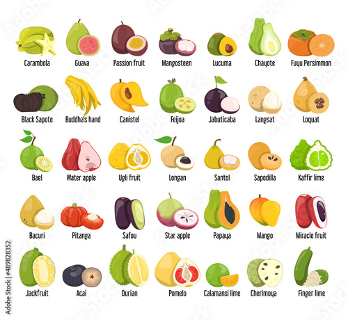 Set of tropical fruits vector isolated. Collection of exotic berries and fruits. Mango, papaya, passion fruit and feijoa. Sweet colorful food.
