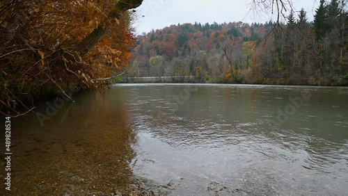 Sava River flowing downstream in pristine nature in Slovenia. River bank is covered with colorful trees. Autumn or fall season. Gravel shore. Static shot, real time