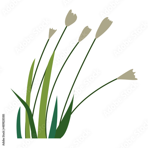 Grass vector illustration in flat color design